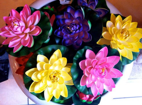 Olympic Logo a Day 186